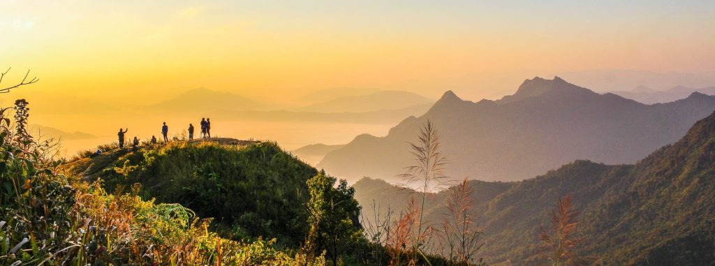 La transizione agroalimentare